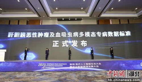 2025智鏈醫療人工智能生態大會啟幕，智能技術驅動醫療健康新未來